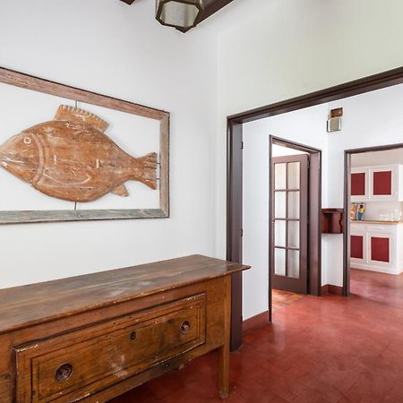 Villa Jacaranda カスカイス エクステリア 写真